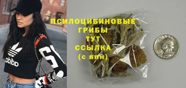 сатива Гусь-Хрустальный