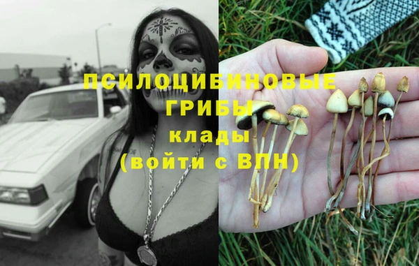 бутират Арсеньев