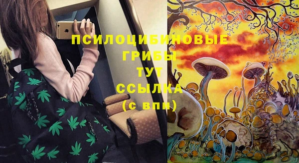 прущая мука Аркадак
